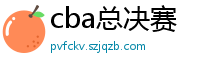 cba总决赛